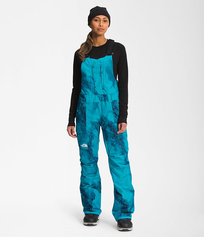 The North Face Womens Snow Pants Freedom Insulated Bib 351RWKPSD - Navy